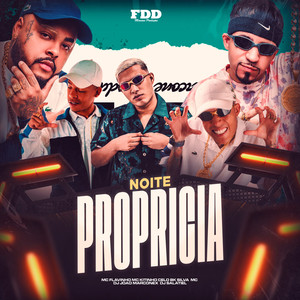 DJ Salatiel - Noite Propricia (Explicit)