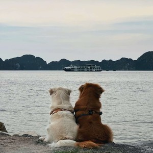 Thiên Lý Ơiiiiiiii (Explicit)