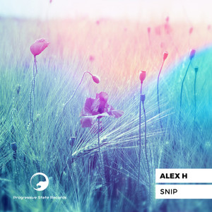 Snip (Fiben Remix)