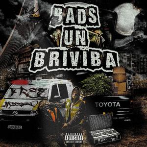 EJU GULĒT, LŪDZU NEMODINI (Explicit)