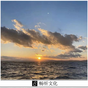 是我爱的太蠢太过天真