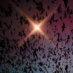 Mink Coat (Explicit)