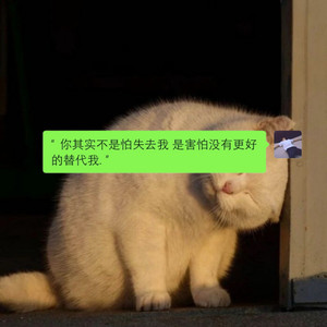 我是如此相信 (DJ版)