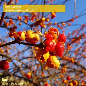 Bittersweet Life (Original)