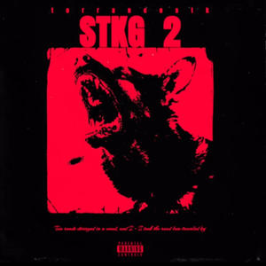 STKG 2 (Explicit)