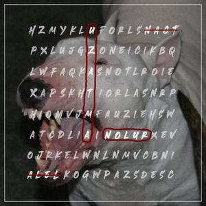 Uzatma Nolur (Explicit)