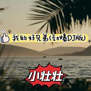 我的好兄弟 (DJ版)