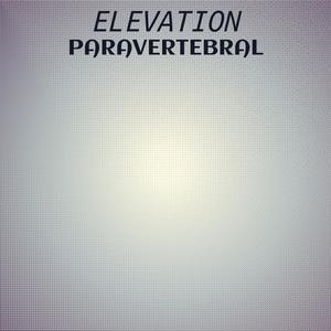 Elevation Paravertebral