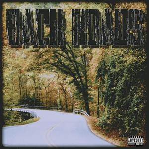 Back Roads (feat. Sb Jayy & Shun1K) (Explicit)