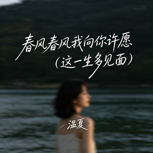 春风春风我向你许愿 (这一生多见面)封面