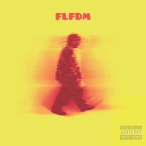 FLFDM (Explicit)