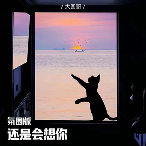 还是会想你-大圆哥