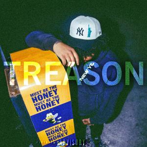 TREASON (Explicit)