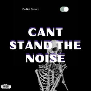 Cant Stand The Noise (Explicit)