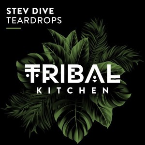 Teardrops (Extended Mix)