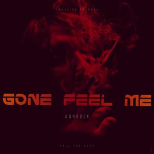 Gone feel me (Explicit)