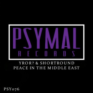 Peace In The Middle East (Original Mix)