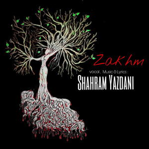 Zakhm