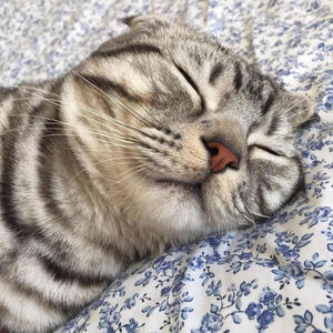 The Road Less Wandered (SYML Rework) - Aquilo&SYML