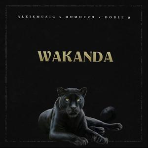 Wakanda (feat. HomHero & Doble 9) [Explicit]