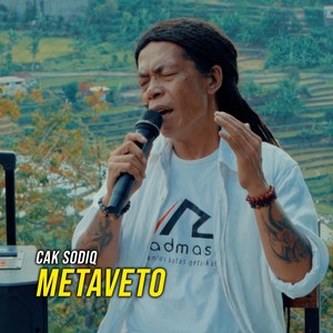 Metaveto