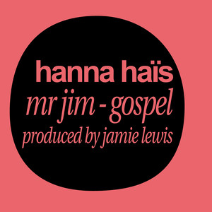 Mr jim (Jamie Lewis Radio Version)