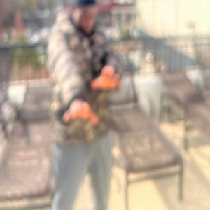 The Groove (Radio Edit)