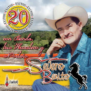 20 Exitos Con Banda, Trio huasteco y Norteno