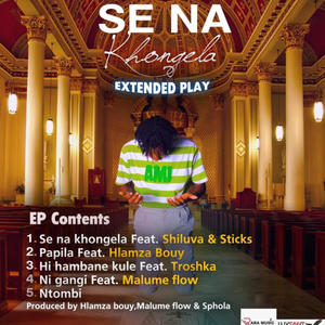 Ni gangi (feat. Malume flow)