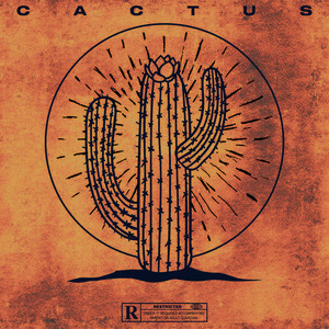 Cactus (Explicit)