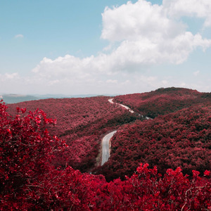 人间第一情 (Inst.)