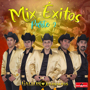 Mix Gallos Dorados 2020: Camaron Caramelo / la Maria / Suelta el Freno / Huasito Picon
