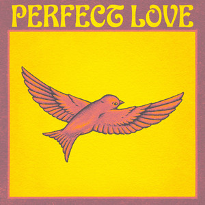 Perfect Love (Dexter Remix)