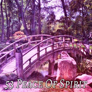 53 Peace Of Spirit