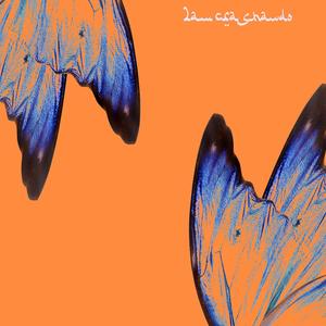 FANTA ROSARIO - 2AM CRASHANDO (Explicit)