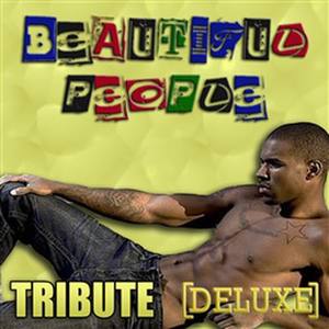 Beautiful People (Chris Brown Feat. Benny Benassi Tribute) - Instrumental