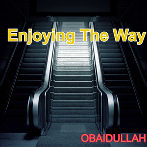 Enjoying The Way