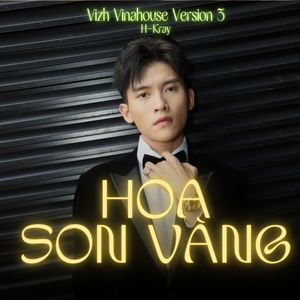 Hoa Son Vàng (Vizh Vinahouse Version 3)