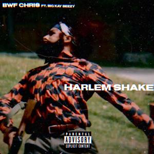 Harlem Shake ft. Big Kay Beezy (Explicit)