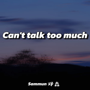 Can't talk too much (创作人版)