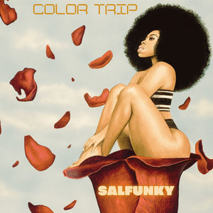 Salfunky (Original Mix)