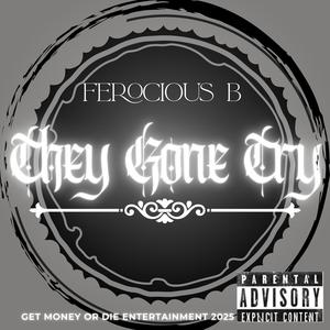 They Gone Try (Explicit)