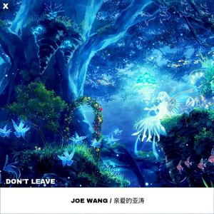 Joe wang-Leaving Now (亲爱的亚涛 Remix)