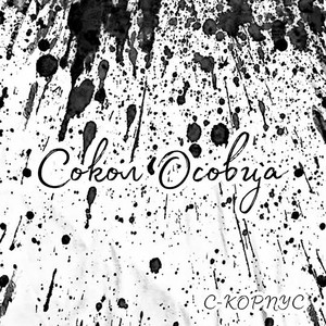 Сокол Осовца