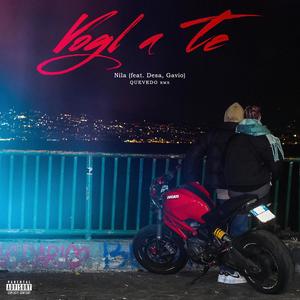 Vogl a te (feat. Gavio x Desaparecido) (Explicit)