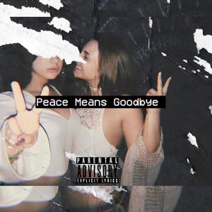 Peace Means Goodbye (Explicit)