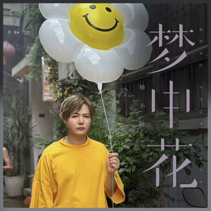 杨小壮《梦中花》[MP3_LRC]_MP3免费下载