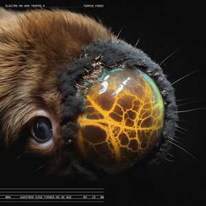 vuestros ojos tienen no sé qué