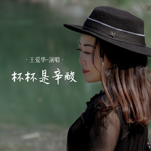 王爱华 - 杯杯是辛酸 (伴奏)