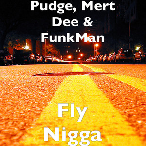 Fly Nigga (Explicit)